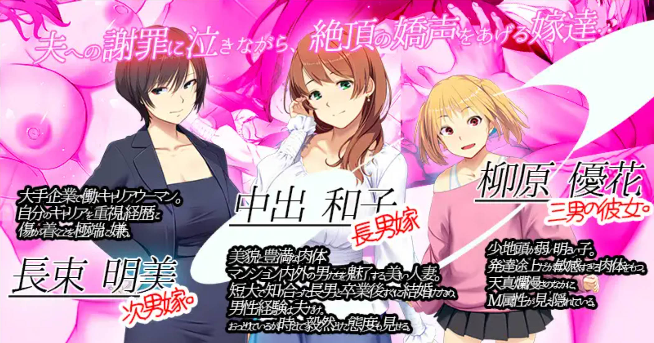 【海港游戏/免费】嫁挿れ時 Remake      官方简中/繁中/日/英/韩